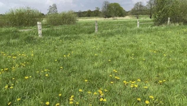 Prenájom pozemku 14.000 m², Hohenwestedt, Šlezvicko-Holštajnsko Prenájom pozemku 14.000 m², Hohenwestedt, Šlezvicko-Holštajnsko