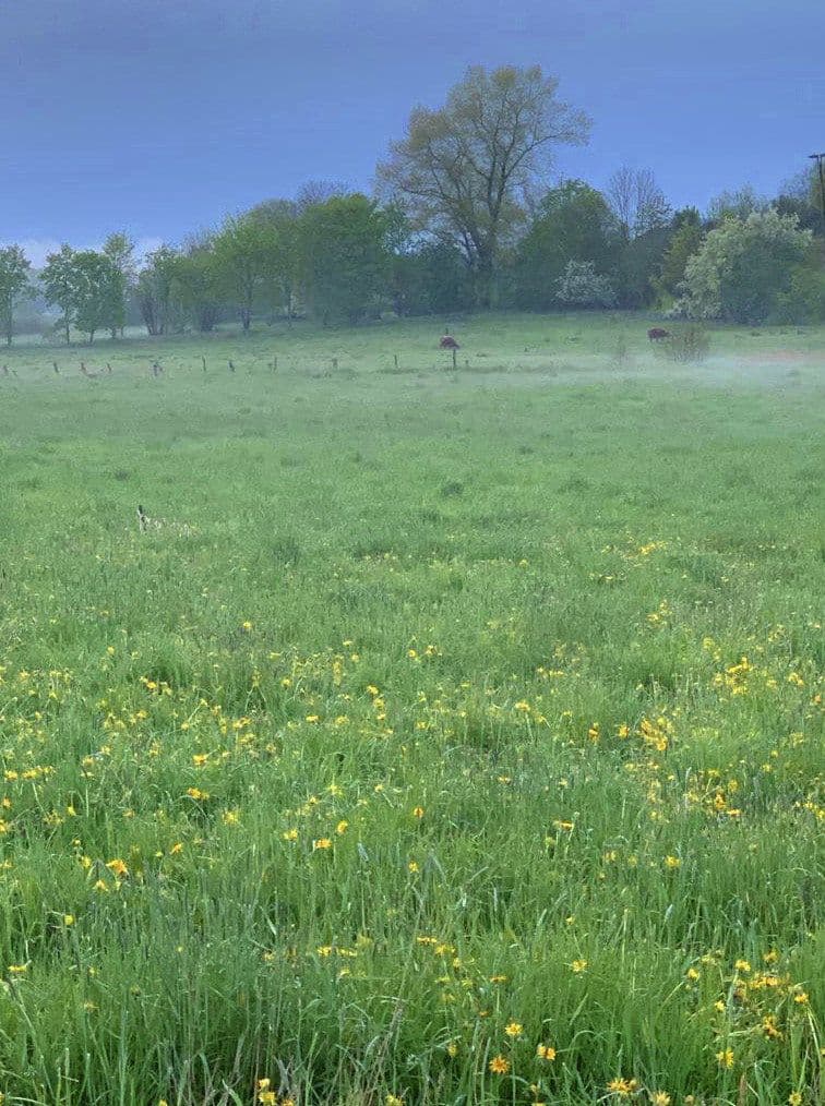 Prenájom pozemku 14.000 m², Hohenwestedt, Šlezvicko-Holštajnsko Prenájom pozemku 14.000 m², Hohenwestedt, Šlezvicko-Holštajnsko