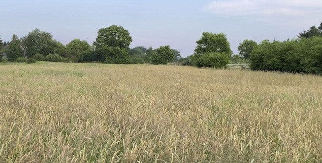 Prenájom pozemku 14.000 m², Hohenwestedt, Šlezvicko-Holštajnsko Prenájom pozemku 14.000 m², Hohenwestedt, Šlezvicko-Holštajnsko
