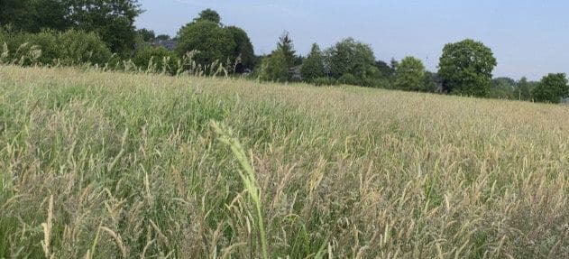 Prenájom pozemku 14.000 m², Hohenwestedt, Šlezvicko-Holštajnsko Prenájom pozemku 14.000 m², Hohenwestedt, Šlezvicko-Holštajnsko