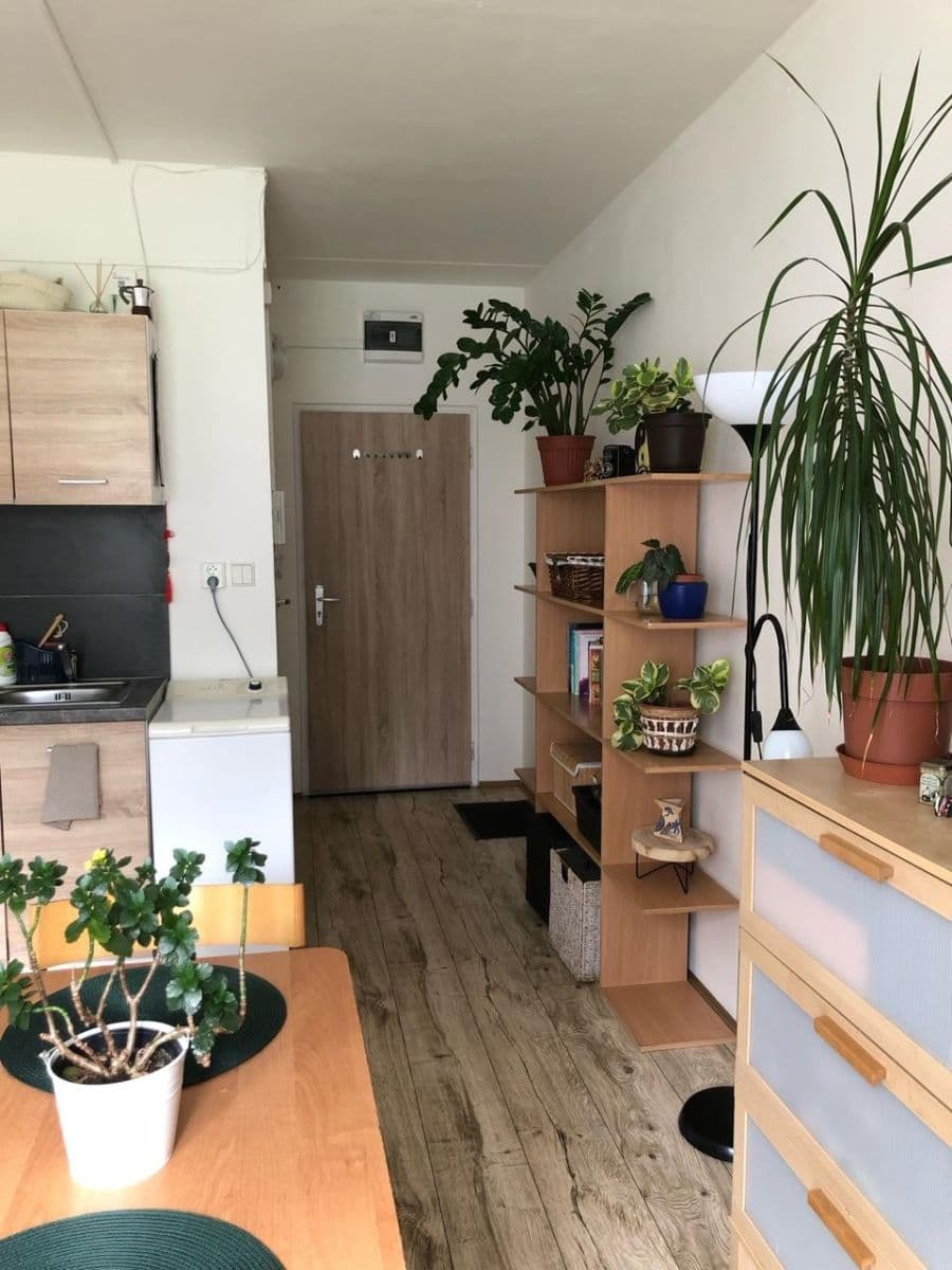 Prenájom bytu 1-izbový 19 m², Východní, Karlovy Vary, Karlovarský kraj Prenájom bytu 1-izbový 19 m², Východní, Karlovy Vary, Karlovarský kraj