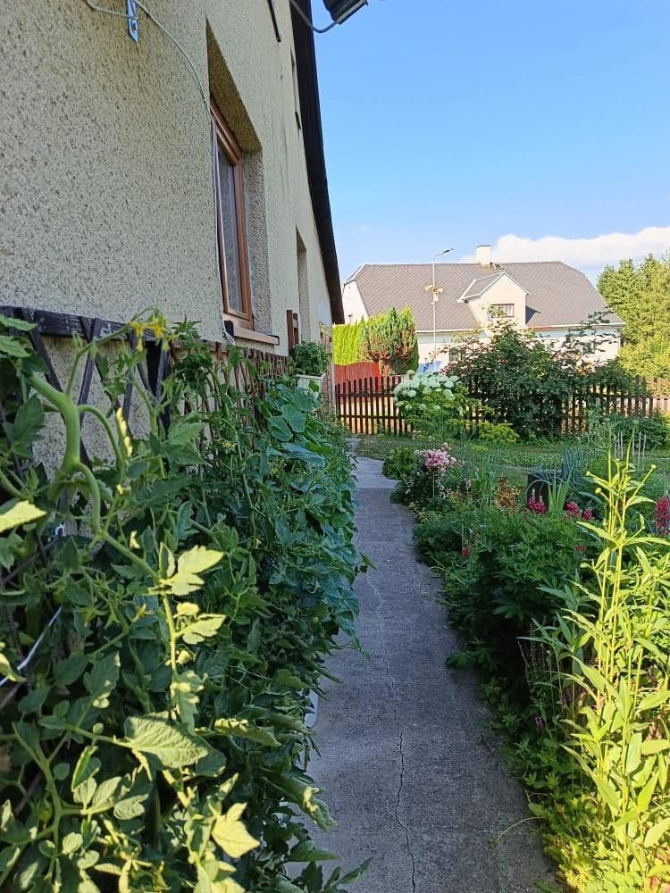 Predaj domu 170 m², pozemok 938 m², Červená Voda, Pardubický kraj Predaj domu 170 m², pozemok 938 m², Červená Voda, Pardubický kraj
