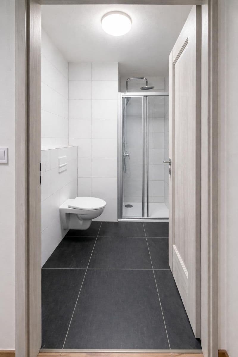 Prenájom bytu 1-izbový 36 m², Na Petynce, Praha, Praha Prenájom bytu 1-izbový 36 m², Na Petynce, Praha, Praha