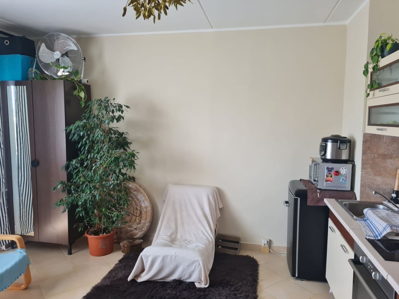 Prenájom bytu 1-izbový 36 m², Jesenická, Plzeň, Plzeňský kraj Prenájom bytu 1-izbový 36 m², Jesenická, Plzeň, Plzeňský kraj