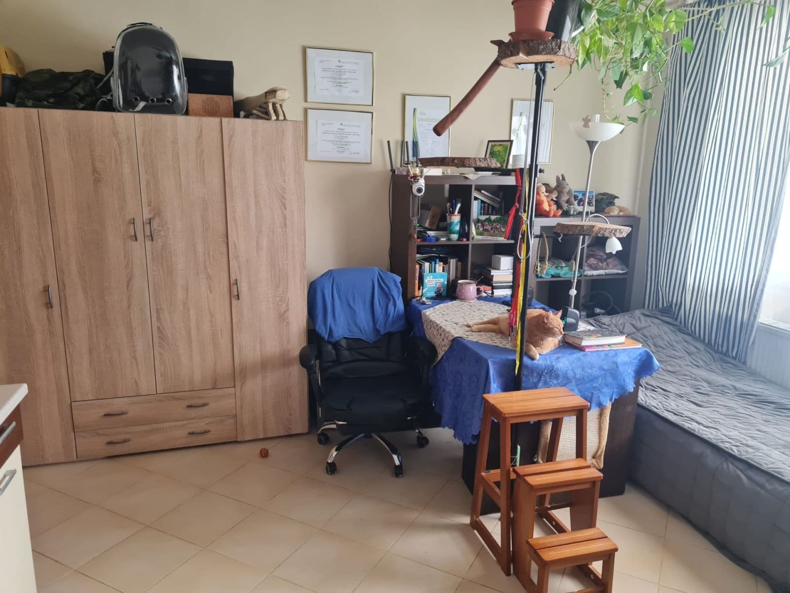 Prenájom bytu 1-izbový 36 m², Jesenická, Plzeň, Plzeňský kraj Prenájom bytu 1-izbový 36 m², Jesenická, Plzeň, Plzeňský kraj