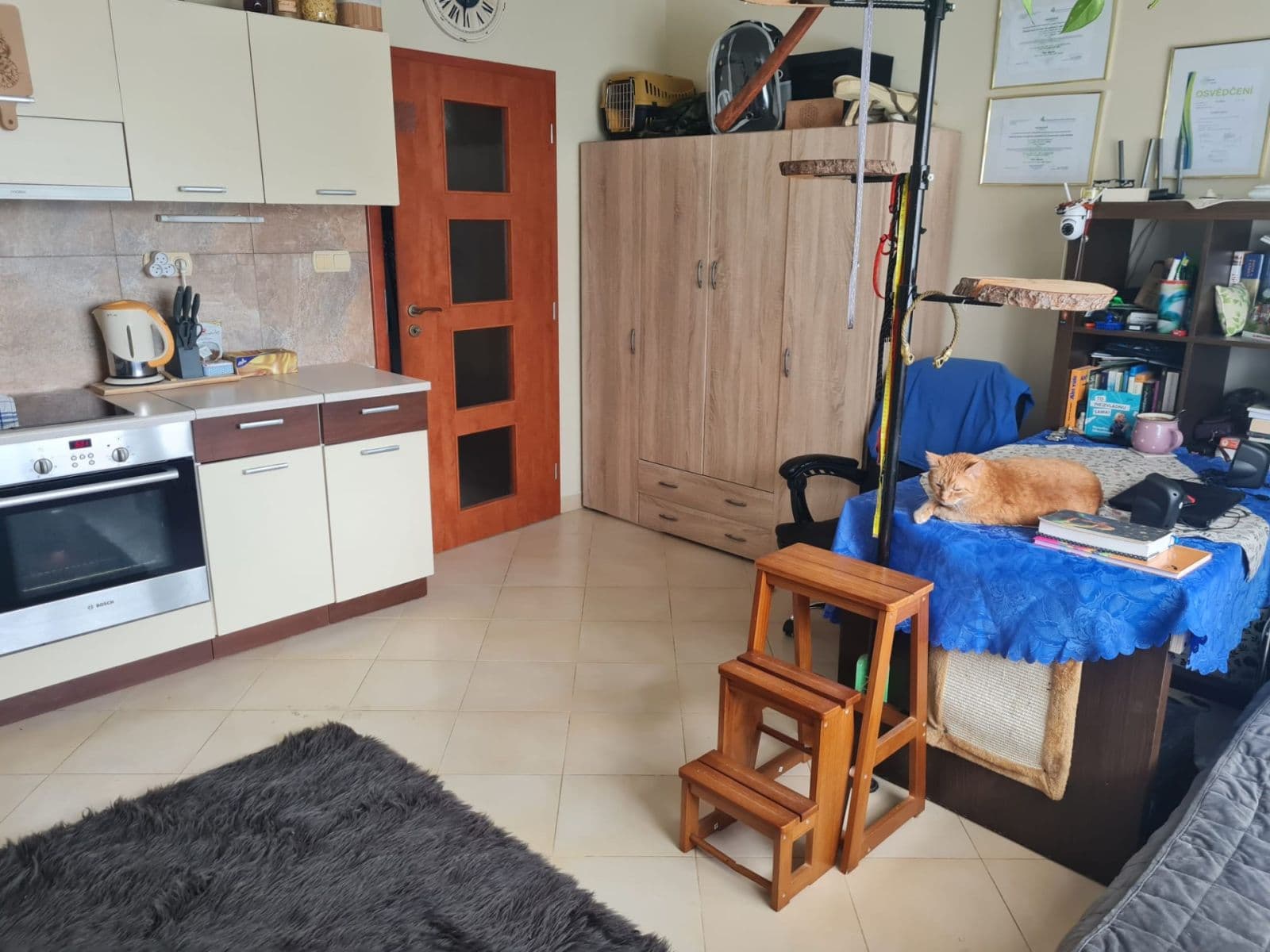 Prenájom bytu 1-izbový 36 m², Jesenická, Plzeň, Plzeňský kraj Prenájom bytu 1-izbový 36 m², Jesenická, Plzeň, Plzeňský kraj