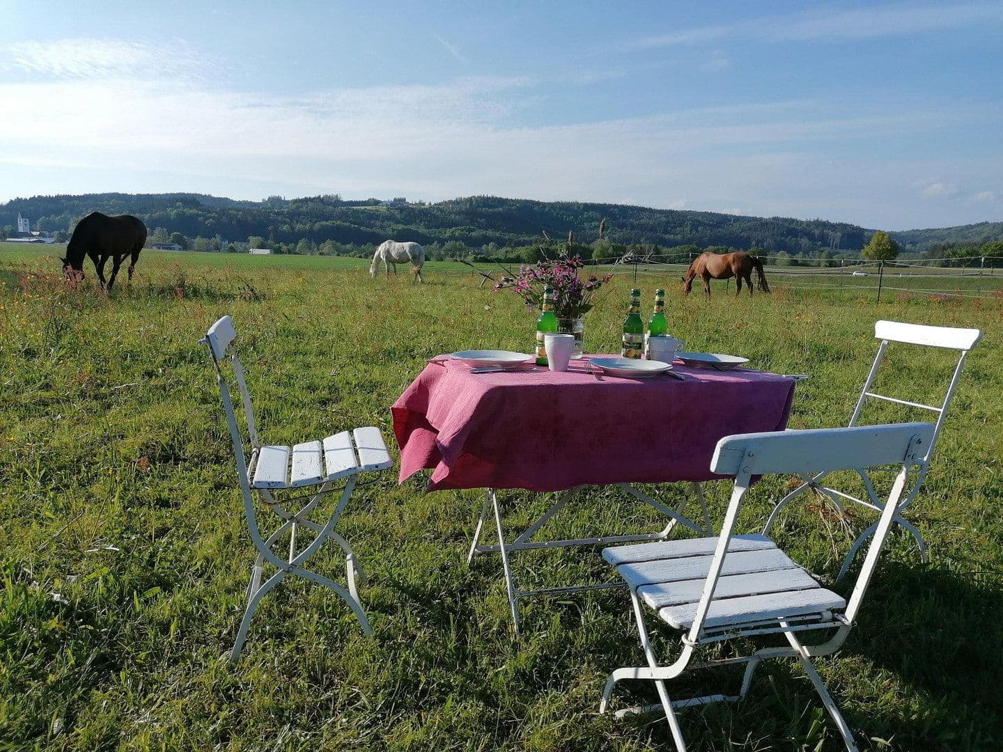 Predaj pozemku 15.000 m², Leutkirch im Allgäu, Bádensko-Wurttembersko Predaj pozemku 15.000 m², Leutkirch im Allgäu, Bádensko-Wurttembersko
