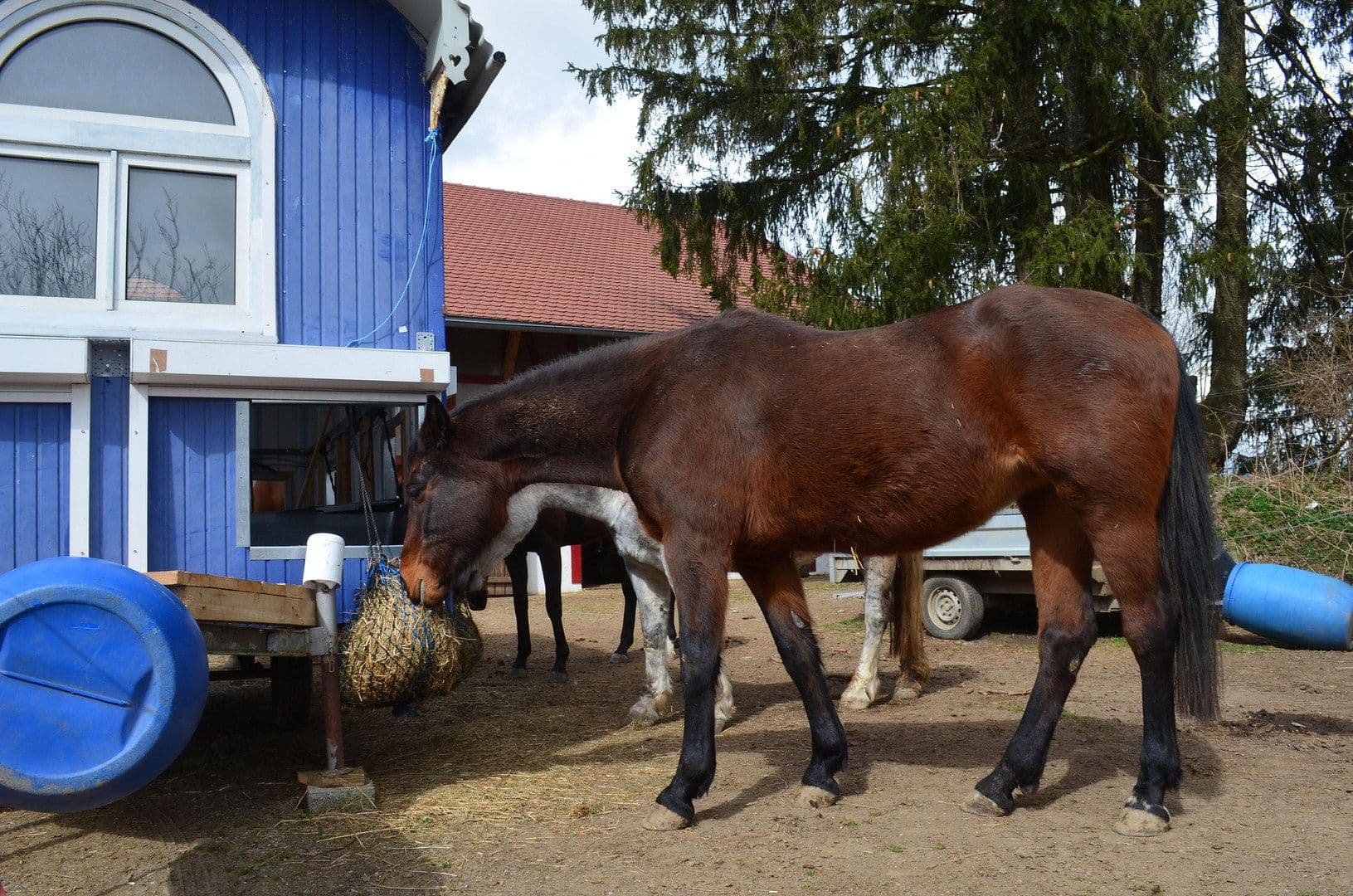 Predaj pozemku 15.000 m², Leutkirch im Allgäu, Bádensko-Wurttembersko Predaj pozemku 15.000 m², Leutkirch im Allgäu, Bádensko-Wurttembersko