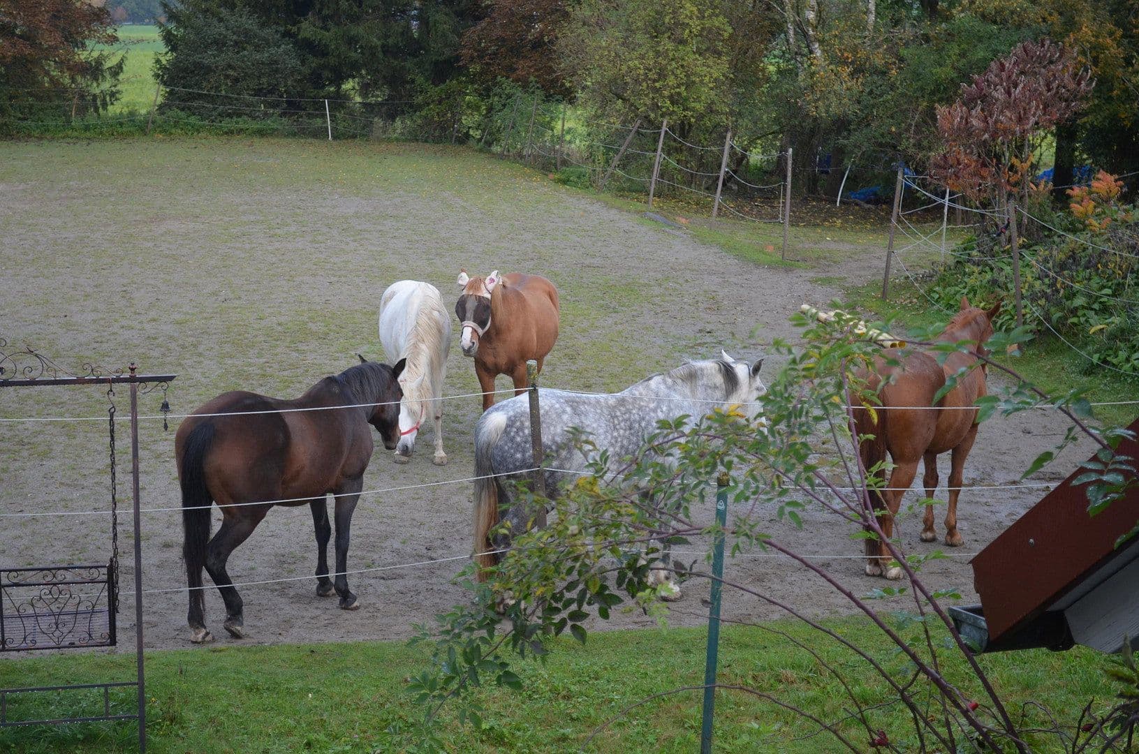 Predaj pozemku 15.000 m², Leutkirch im Allgäu, Bádensko-Wurttembersko Predaj pozemku 15.000 m², Leutkirch im Allgäu, Bádensko-Wurttembersko