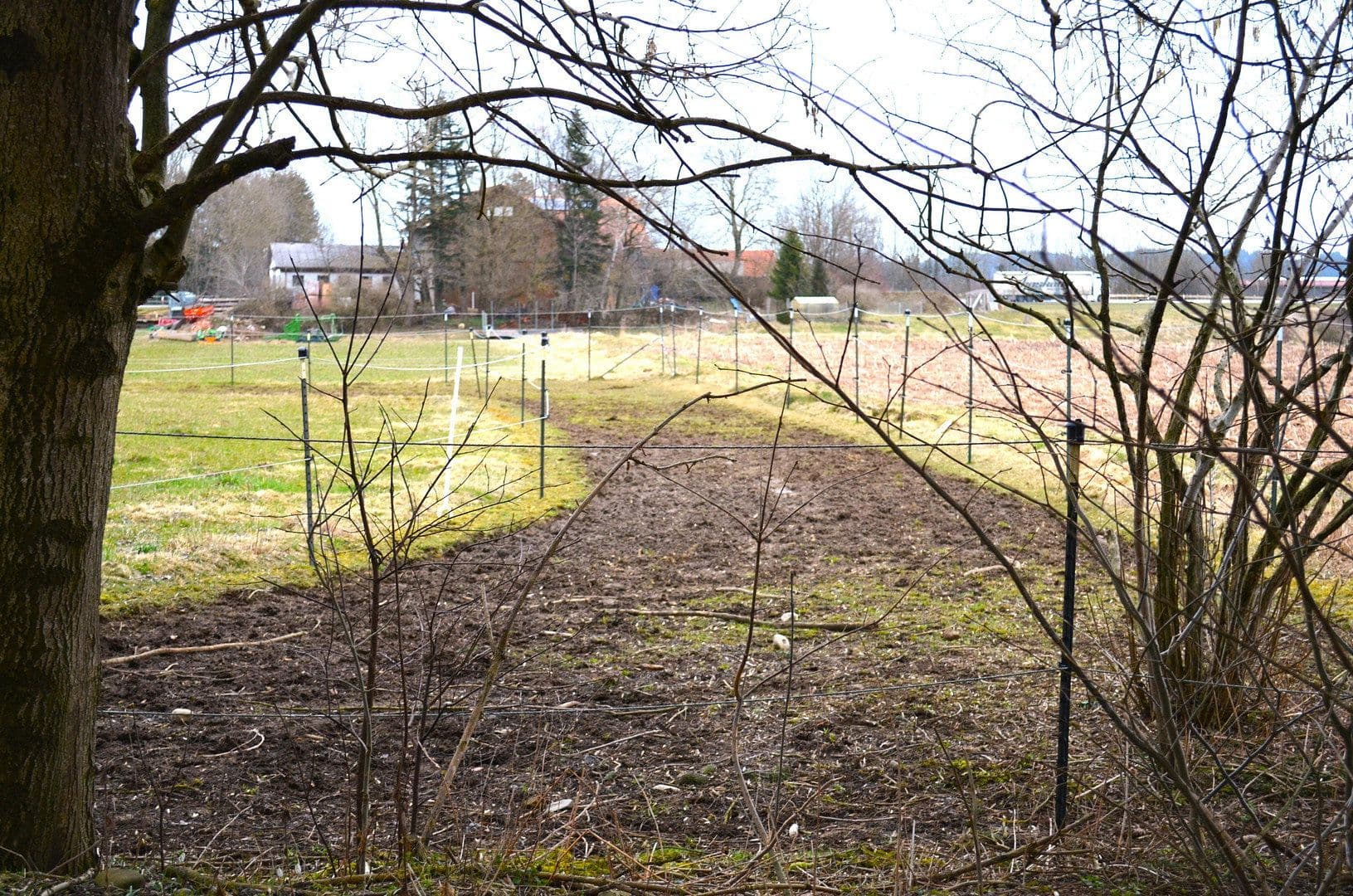 Predaj pozemku 15.000 m², Leutkirch im Allgäu, Bádensko-Wurttembersko Predaj pozemku 15.000 m², Leutkirch im Allgäu, Bádensko-Wurttembersko