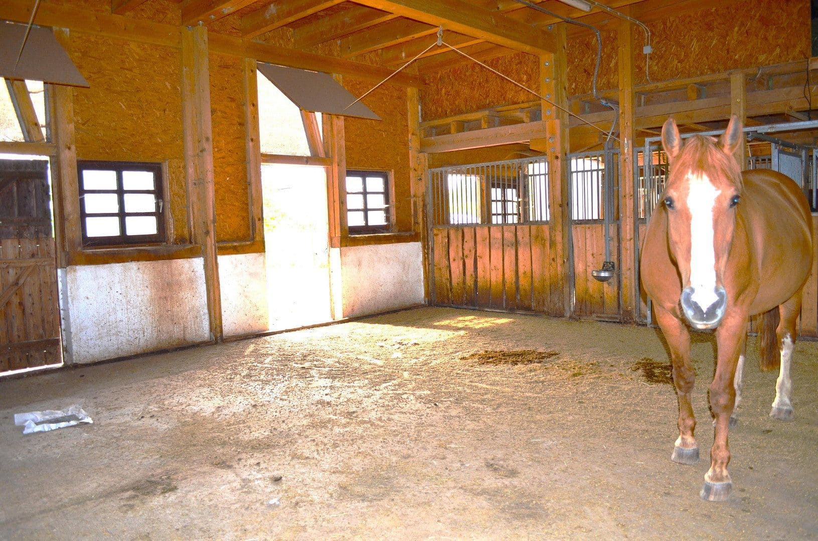 Predaj pozemku 15.000 m², Leutkirch im Allgäu, Bádensko-Wurttembersko Predaj pozemku 15.000 m², Leutkirch im Allgäu, Bádensko-Wurttembersko