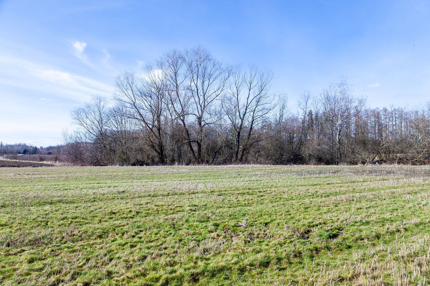 Predaj pozemku 5.987 m², Lesní, Úhonice, Středočeský kraj Predaj pozemku 5.987 m², Lesní, Úhonice, Středočeský kraj