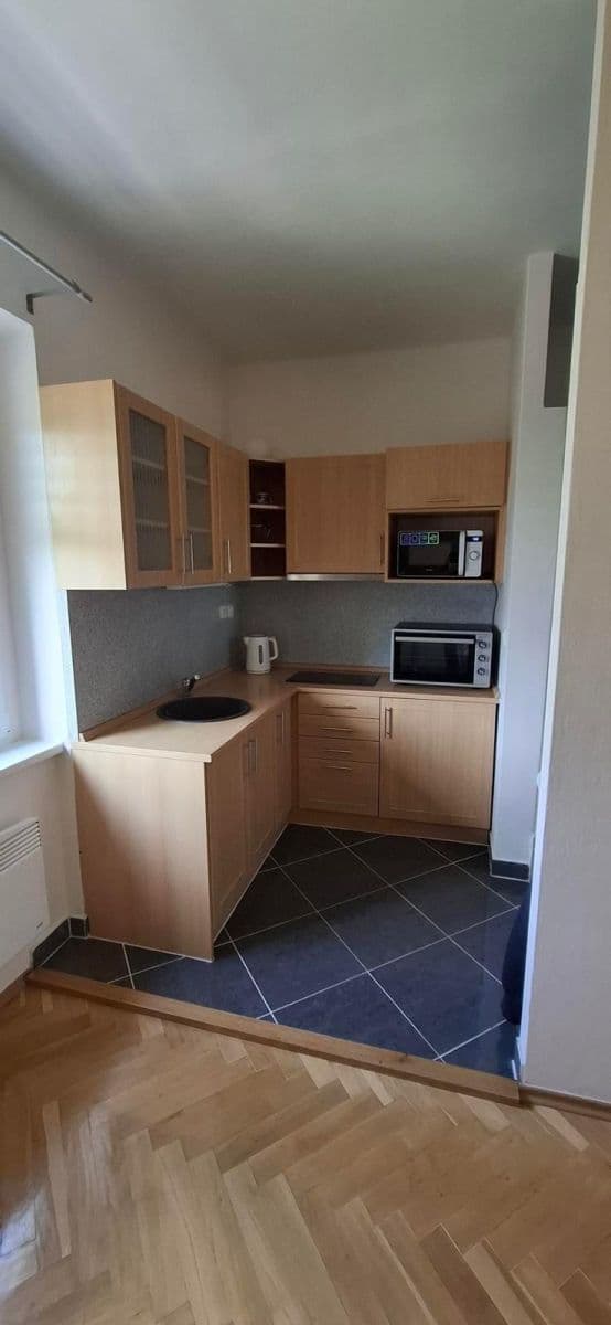 Prenájom bytu 2-izbový 48 m², Renneská třída, Brno, Jihomoravský kraj Prenájom bytu 2-izbový 48 m², Renneská třída, Brno, Jihomoravský kraj