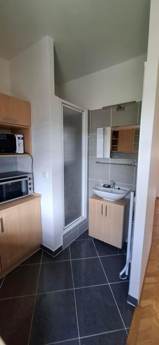 Prenájom bytu 2-izbový 48 m², Renneská třída, Brno, Jihomoravský kraj Prenájom bytu 2-izbový 48 m², Renneská třída, Brno, Jihomoravský kraj