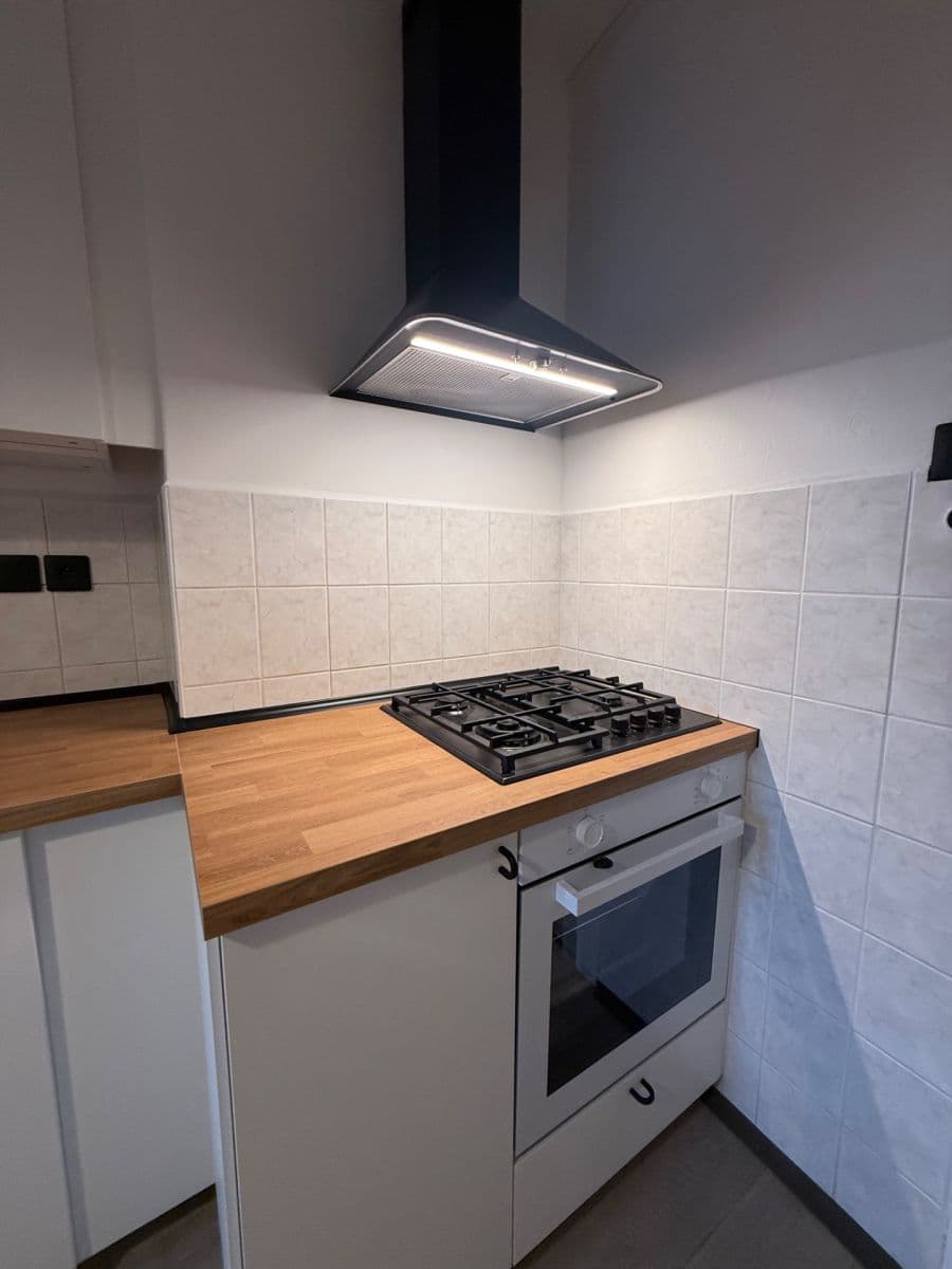 Prenájom bytu 2-izbový 64 m², Veslařská, Brno, Jihomoravský kraj Prenájom bytu 2-izbový 64 m², Veslařská, Brno, Jihomoravský kraj
