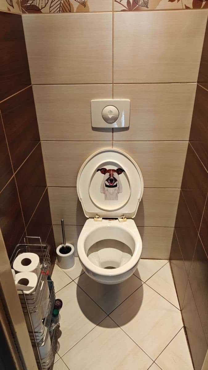Prenájom bytu 1-izbový 48 m², Záběhlická, Praha, Praha Prenájom bytu 1-izbový 48 m², Záběhlická, Praha, Praha