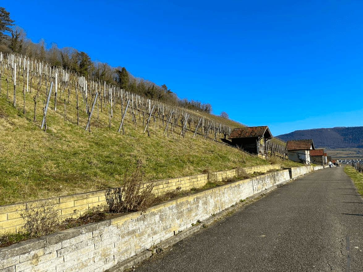 Prenájom bytu 4-izbový 73 m², Metzingen, Bádensko-Wurttembersko Prenájom bytu 4-izbový 73 m², Metzingen, Bádensko-Wurttembersko