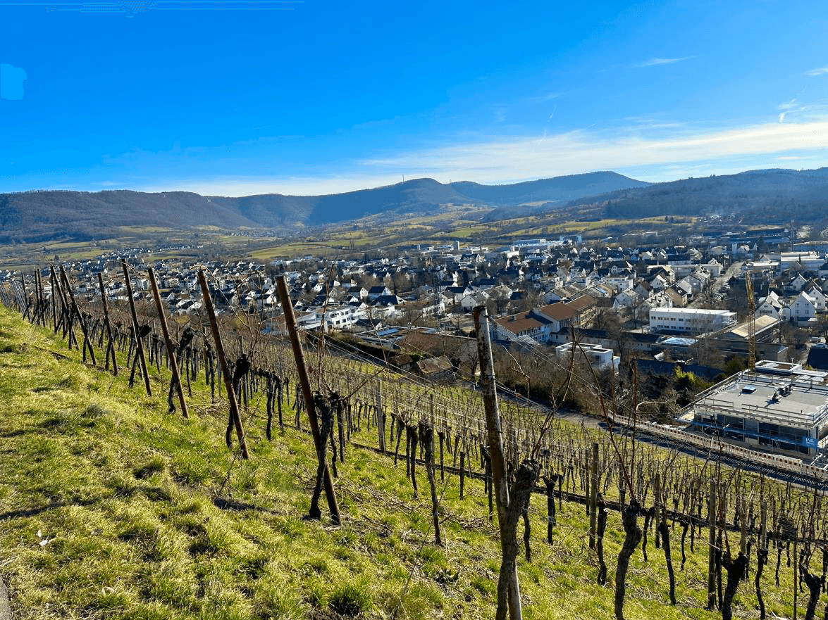 Prenájom bytu 4-izbový 73 m², Metzingen, Bádensko-Wurttembersko Prenájom bytu 4-izbový 73 m², Metzingen, Bádensko-Wurttembersko