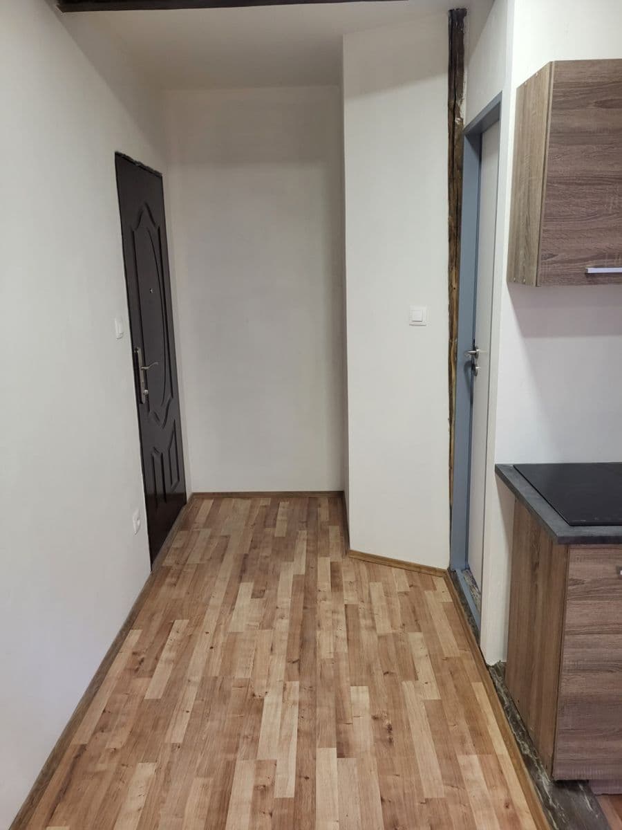 Prenájom bytu 1-izbový 29 m², Průmyslová, Strančice, Středočeský kraj Prenájom bytu 1-izbový 29 m², Průmyslová, Strančice, Středočeský kraj