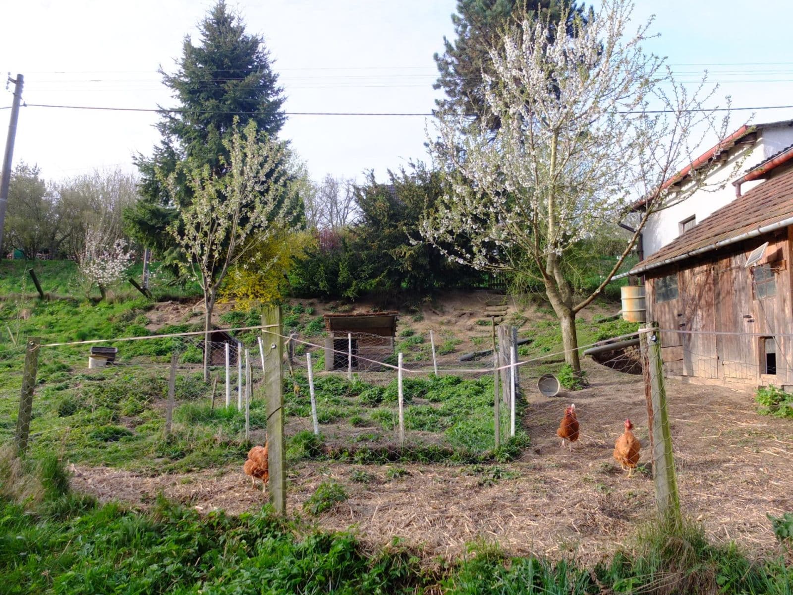 Predaj domu 99 m², pozemek 2.524 m², Vlašim, Středočeský kraj Predaj domu 99 m², pozemek 2.524 m², Vlašim, Středočeský kraj