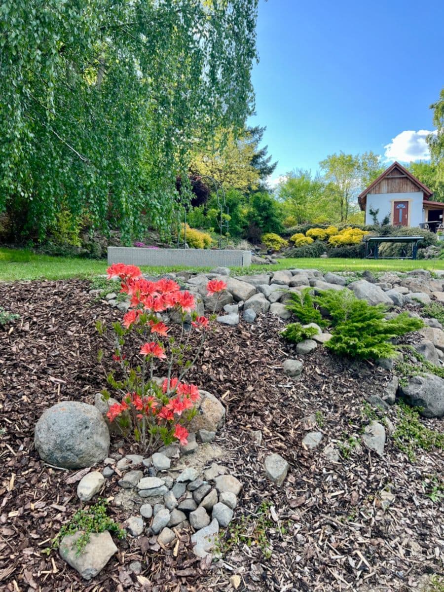 Predaj rekreačného objektu 24 m², pozemek 1.800 m², Česká Lípa, Liberecký kraj Predaj rekreačného objektu 24 m², pozemek 1.800 m², Česká Lípa, Liberecký kraj