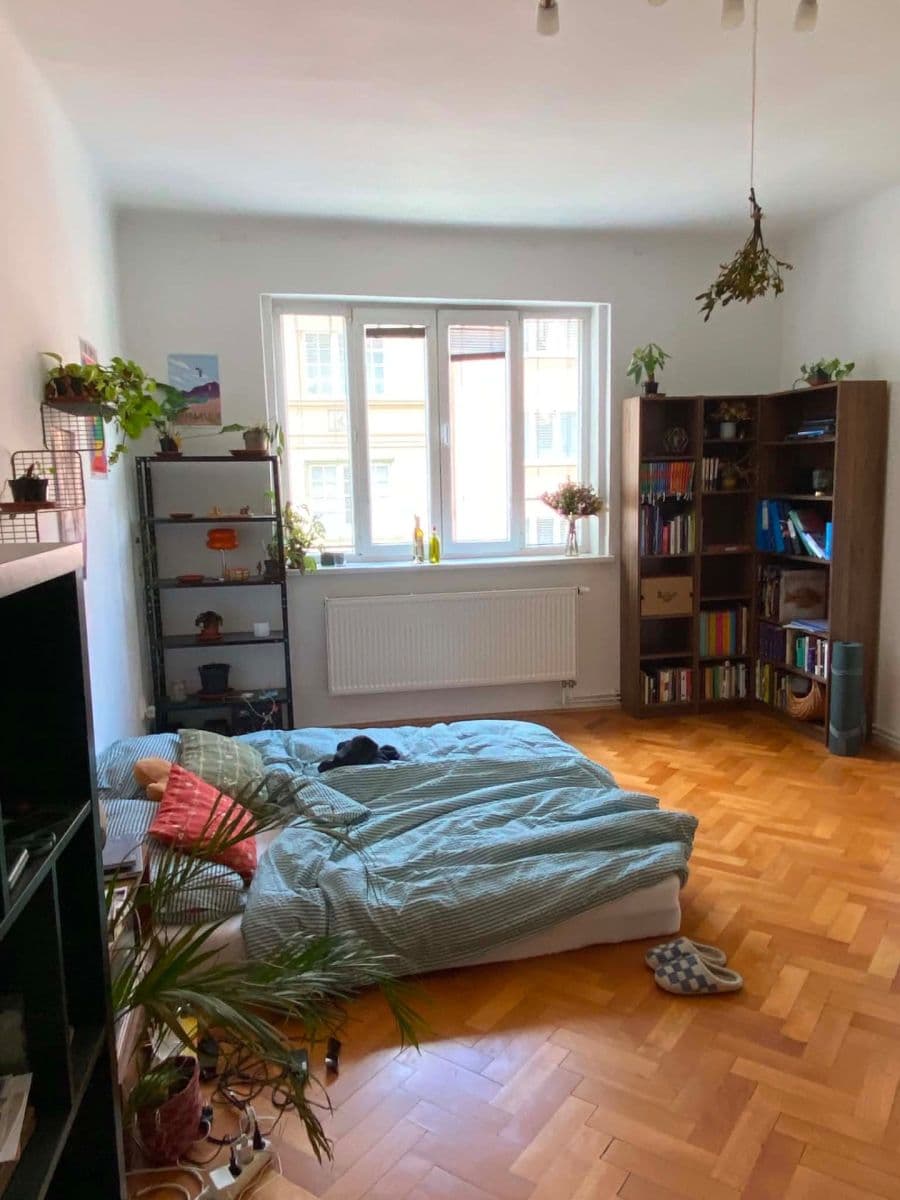 Prenájom bytu 2-izbový 25 m², Úvoz, Brno, Jihomoravský kraj Prenájom bytu 2-izbový 25 m², Úvoz, Brno, Jihomoravský kraj