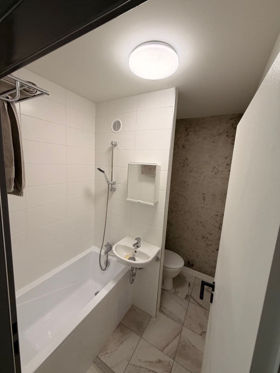 Prenájom bytu 1-izbový 34 m², Železná, Ústí nad Labem, Ústecký kraj Prenájom bytu 1-izbový 34 m², Železná, Ústí nad Labem, Ústecký kraj
