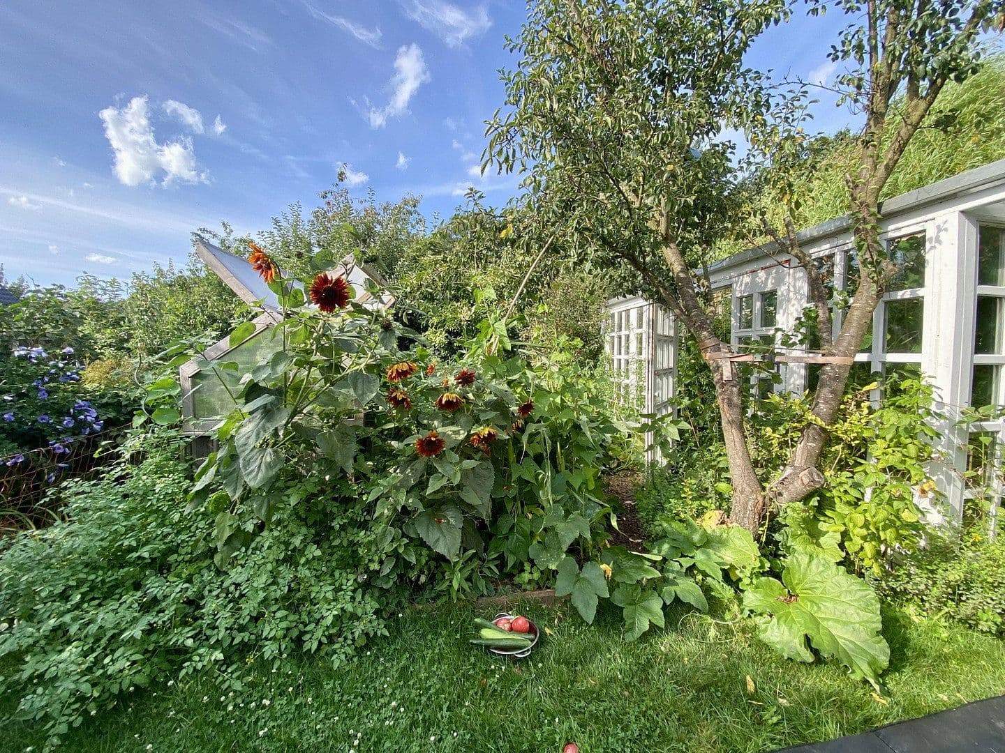 Predaj domu 185 m², pozemek 845 m², Celle, Dolné Sasko Predaj domu 185 m², pozemek 845 m², Celle, Dolné Sasko