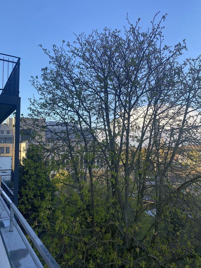 Predaj bytu 3-izbový 110 m², Wittlich, Porýnie-Falcko Predaj bytu 3-izbový 110 m², Wittlich, Porýnie-Falcko