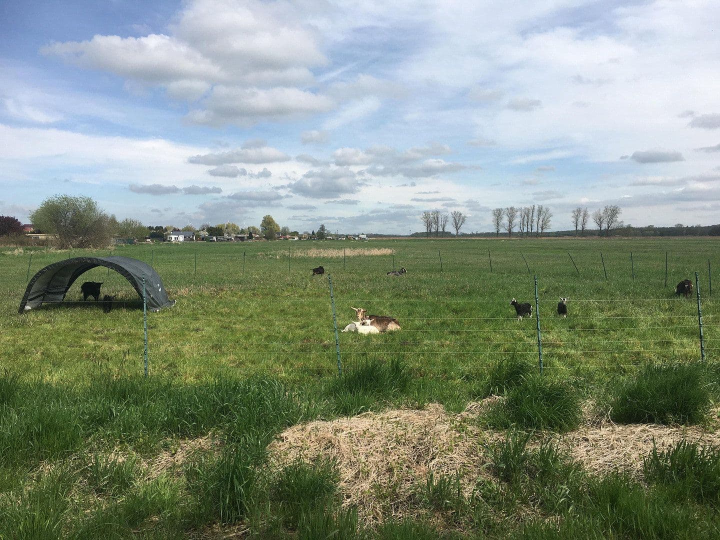 Predaj domu 489 m², pozemek 8.135 m², Bützow, Meklenbursko-Predpomoransko Predaj domu 489 m², pozemek 8.135 m², Bützow, Meklenbursko-Predpomoransko