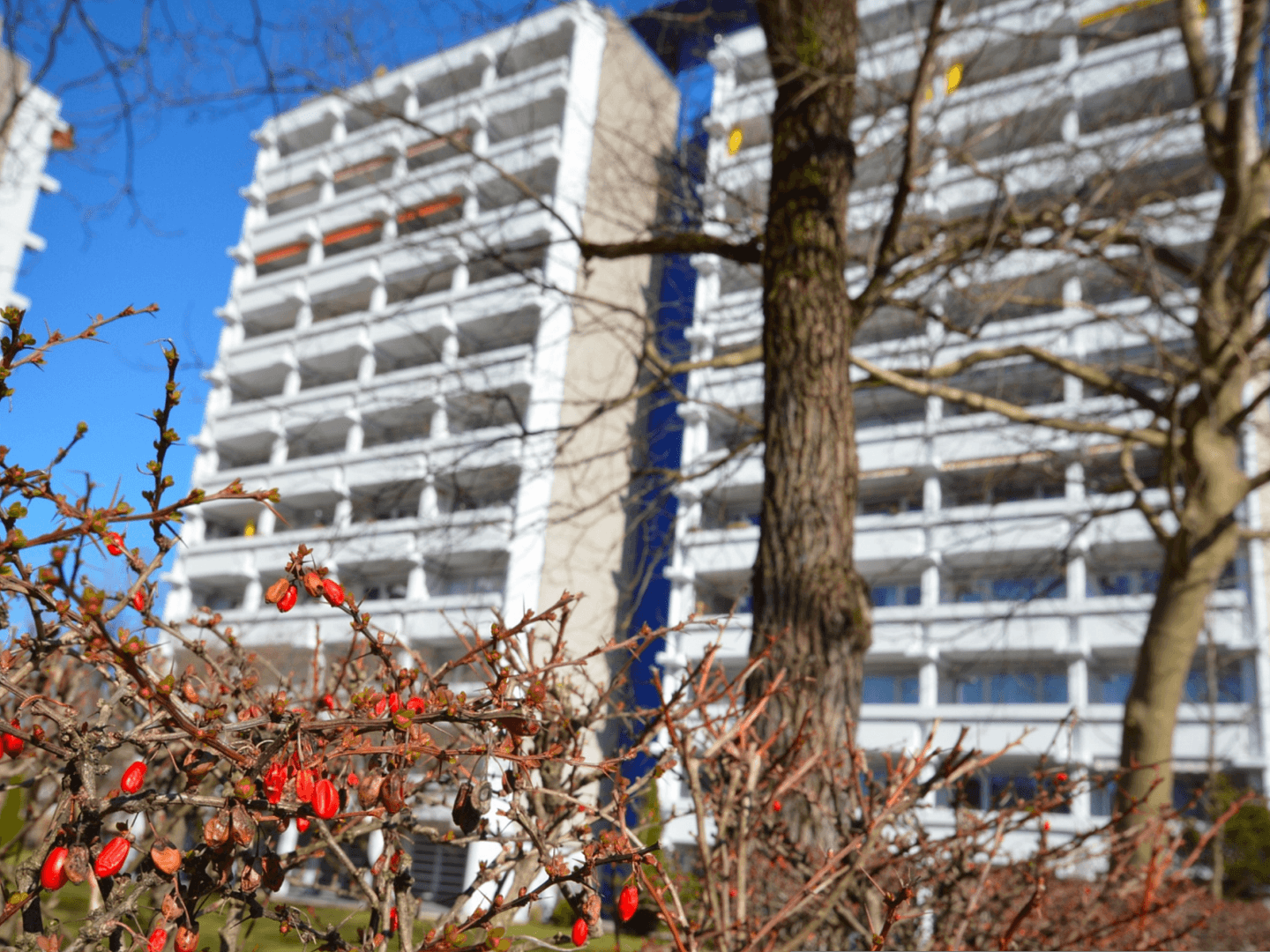 Prenájom bytu 1-izbový 37 m², Neubeuernerstraße 10, München, Bavorsko Prenájom bytu 1-izbový 37 m², Neubeuernerstraße 10, München, Bavorsko