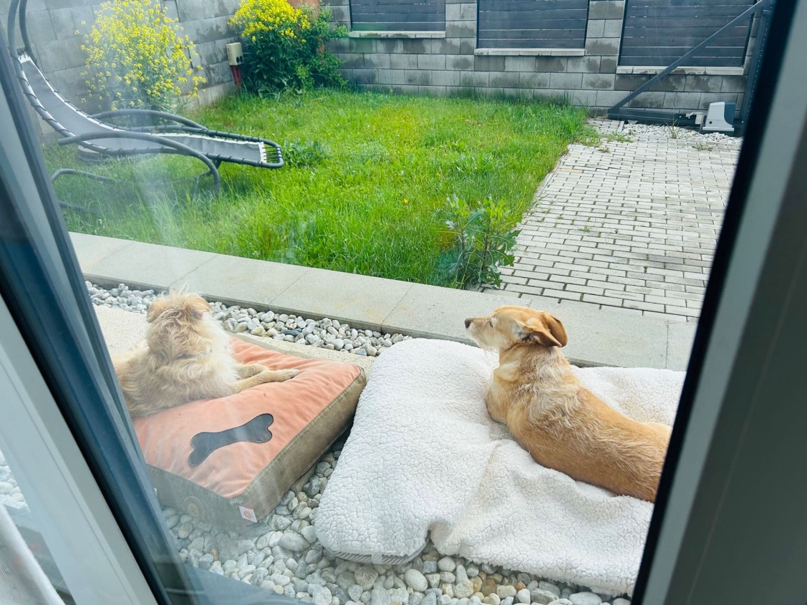 Predaj domu 100 m², pozemek 321 m², K Rondelu, Nová Ves pod Pleší, Středočeský kraj Predaj domu 100 m², pozemek 321 m², K Rondelu, Nová Ves pod Pleší, Středočeský kraj