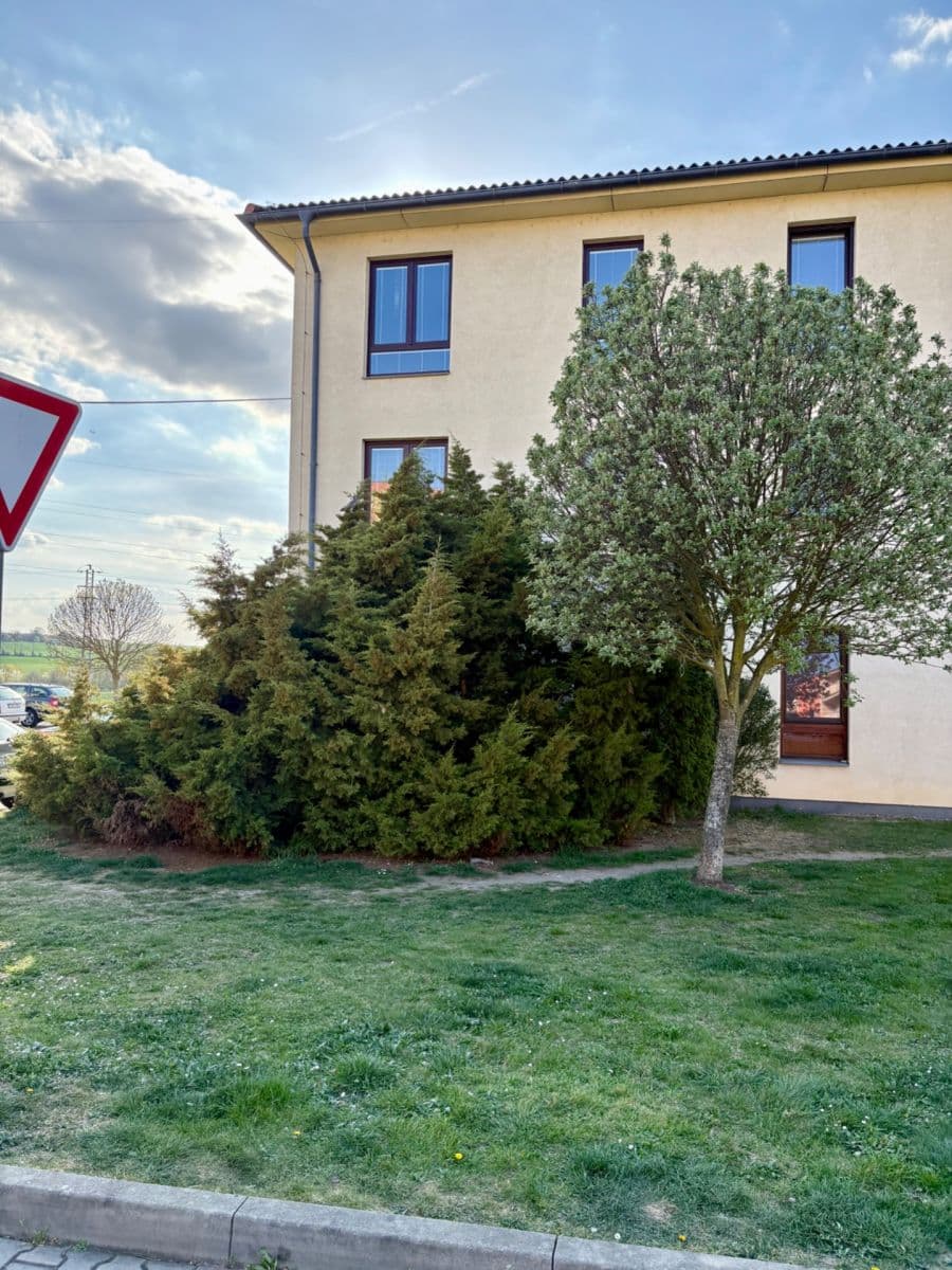 Prenájom bytu 3-izbový 58 m², Okružní, Roudnice nad Labem, Ústecký kraj Prenájom bytu 3-izbový 58 m², Okružní, Roudnice nad Labem, Ústecký kraj
