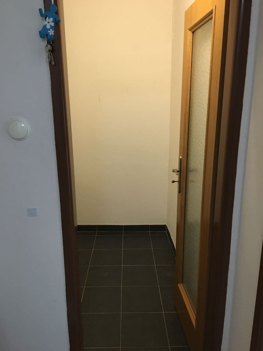 Prenájom bytu 2-izbový 53 m², Raisova, Plzeň, Plzeňský kraj Prenájom bytu 2-izbový 53 m², Raisova, Plzeň, Plzeňský kraj