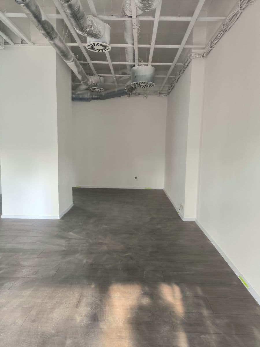 Prenájom nebytového priestoru 82 m², P. Pázmaňa, Šaľa, Nitriansky kraj Prenájom nebytového priestoru 82 m², P. Pázmaňa, Šaľa, Nitriansky kraj
