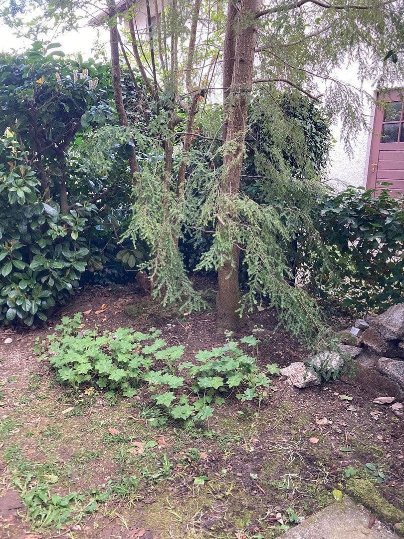 Prenájom bytu 1-izbový 32 m², Riemerling, Bavorsko Prenájom bytu 1-izbový 32 m², Riemerling, Bavorsko
