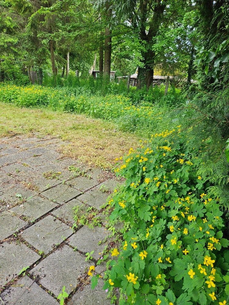 Predaj pozemku 600 m², Am Krebsbach 63 ( mittleres Grundstück ), Karlsfeld, Bavorsko Predaj pozemku 600 m², Am Krebsbach 63 ( mittleres Grundstück ), Karlsfeld, Bavorsko