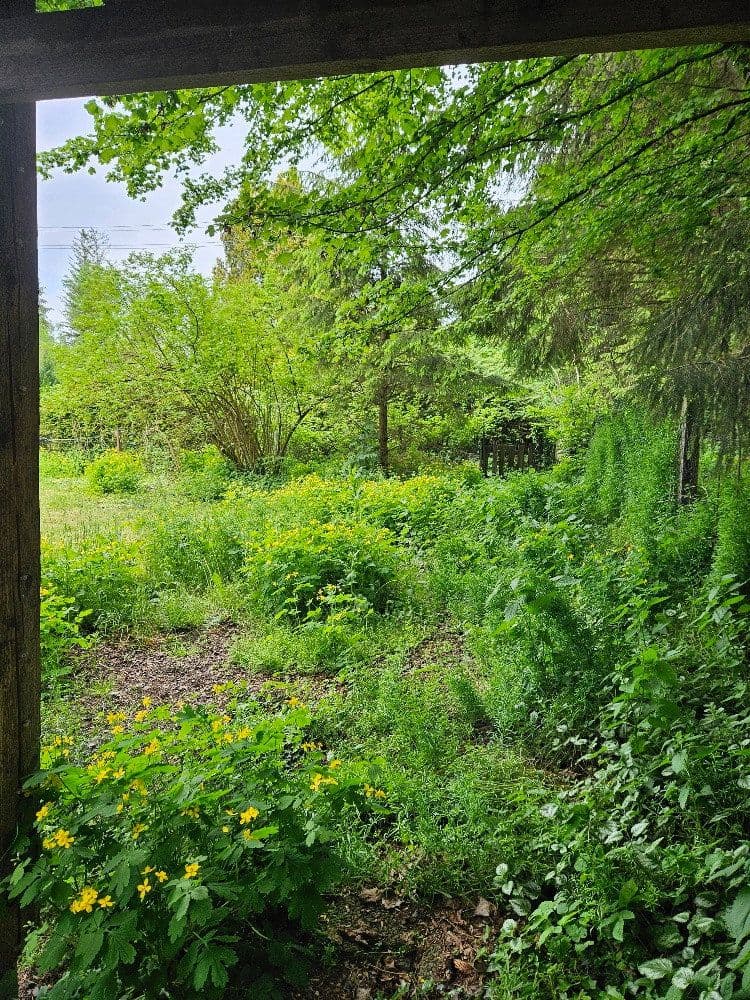 Predaj pozemku 600 m², Am Krebsbach 63 ( mittleres Grundstück ), Karlsfeld, Bavorsko Predaj pozemku 600 m², Am Krebsbach 63 ( mittleres Grundstück ), Karlsfeld, Bavorsko