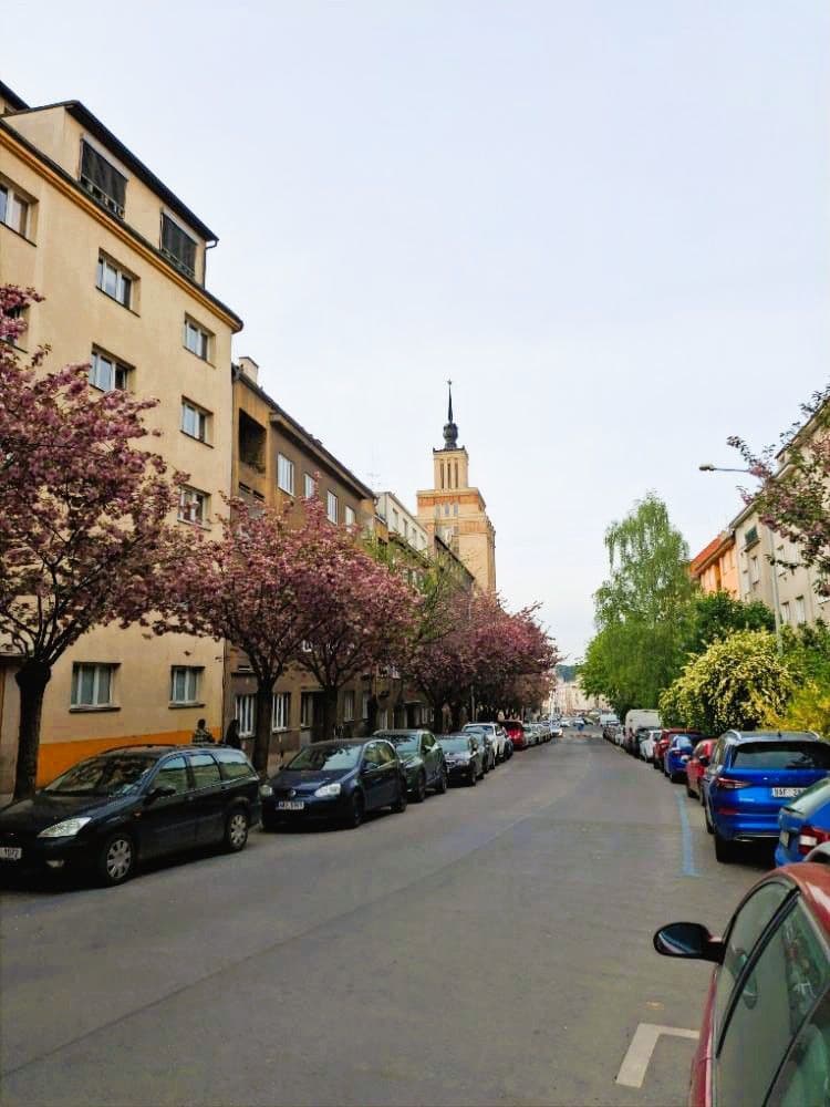 Predaj bytu 2-izbový 77 m², Koulova, Praha, Praha Predaj bytu 2-izbový 77 m², Koulova, Praha, Praha