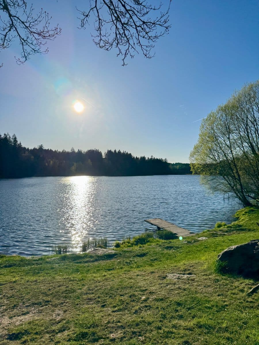Predaj domu 157 m², pozemek 1.196 m², Halže, Plzeňský kraj Predaj domu 157 m², pozemek 1.196 m², Halže, Plzeňský kraj