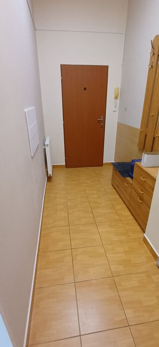 Prenájom bytu 2-izbový 65 m², Jana Morávka, Jílové u Prahy, Středočeský kraj Prenájom bytu 2-izbový 65 m², Jana Morávka, Jílové u Prahy, Středočeský kraj