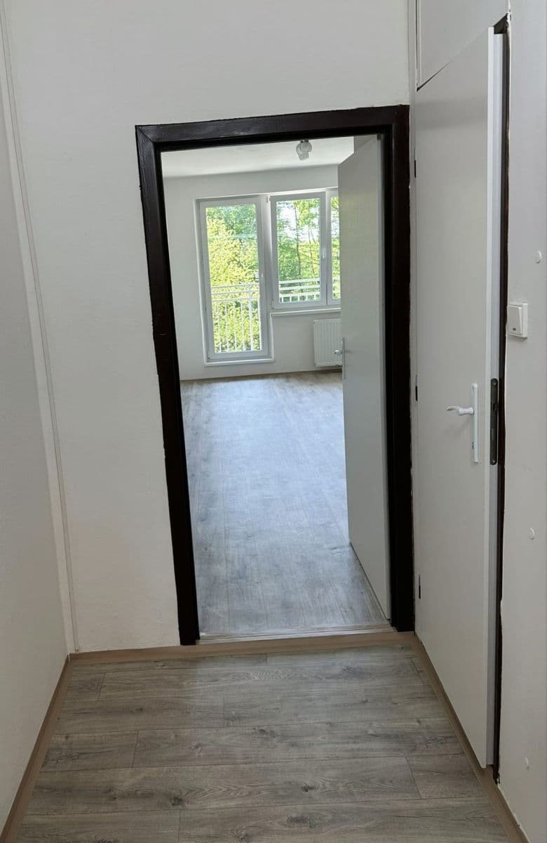 Prenájom bytu 1-izbový 31 m², Petruškova, Ostrava, Moravskoslezský kraj Prenájom bytu 1-izbový 31 m², Petruškova, Ostrava, Moravskoslezský kraj