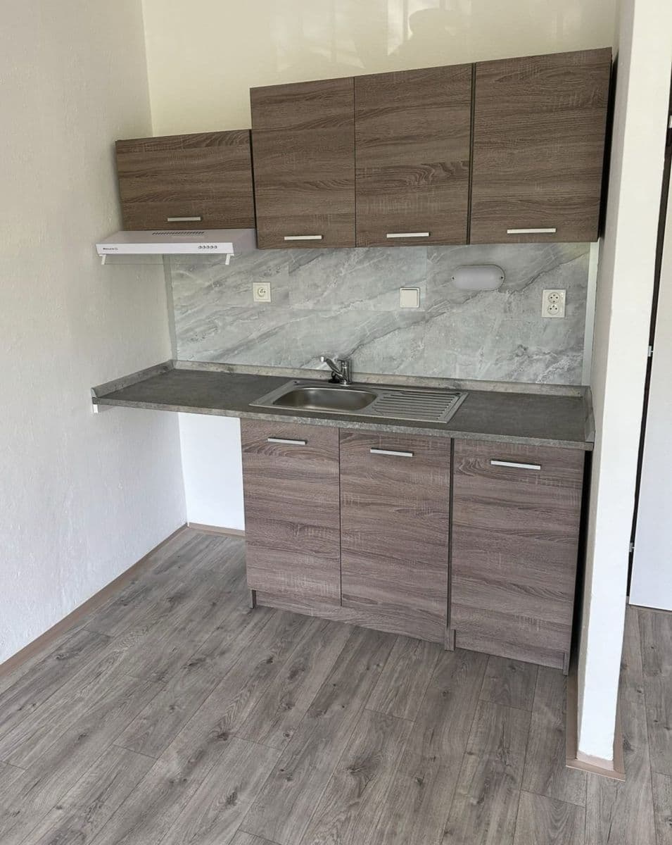 Prenájom bytu 1-izbový 31 m², Petruškova, Ostrava, Moravskoslezský kraj Prenájom bytu 1-izbový 31 m², Petruškova, Ostrava, Moravskoslezský kraj