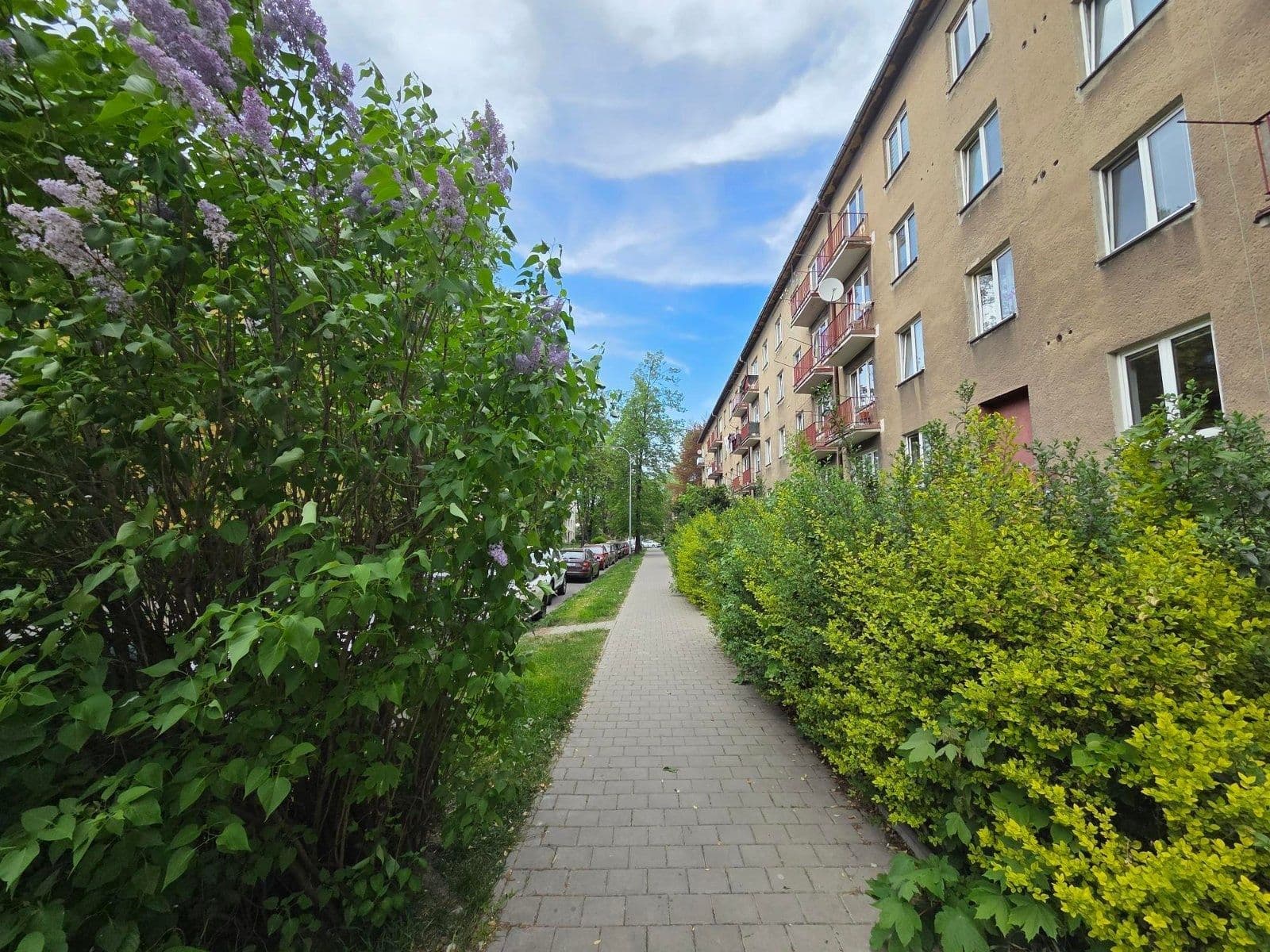 Prenájom bytu 1-izbový 21 m², Nedbalova, Karviná, Moravskoslezský kraj Prenájom bytu 1-izbový 21 m², Nedbalova, Karviná, Moravskoslezský kraj