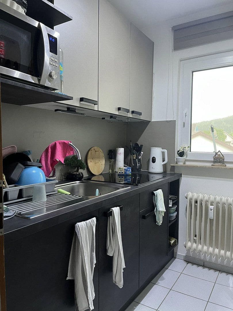 Prenájom bytu 3-izbový 52 m², Balingen, Bádensko-Wurttembersko Prenájom bytu 3-izbový 52 m², Balingen, Bádensko-Wurttembersko