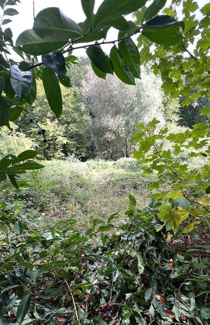 Predaj pozemku 1.000 m², Velbert, Severné Porýnie - Westfálsko Predaj pozemku 1.000 m², Velbert, Severné Porýnie - Westfálsko