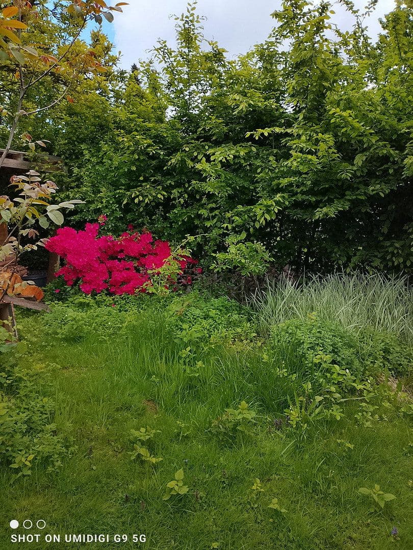Predaj domu 124 m², pozemek 667 m², Neunkirchen-Seelscheid, Severné Porýnie - Westfálsko Predaj domu 124 m², pozemek 667 m², Neunkirchen-Seelscheid, Severné Porýnie - Westfálsko