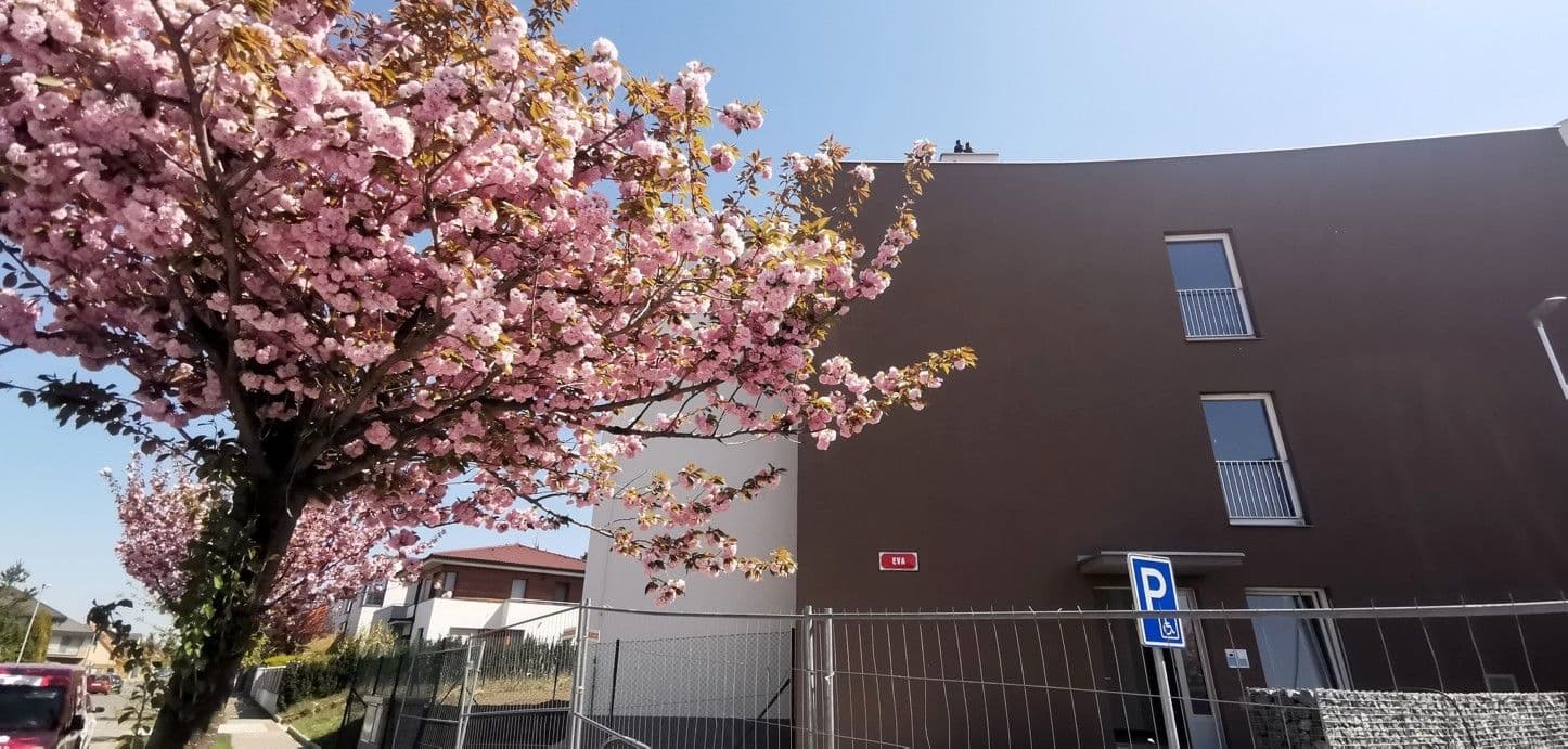 Prenájom bytu 2-izbový 51 m², Pod Areálem, Praha, Praha Prenájom bytu 2-izbový 51 m², Pod Areálem, Praha, Praha