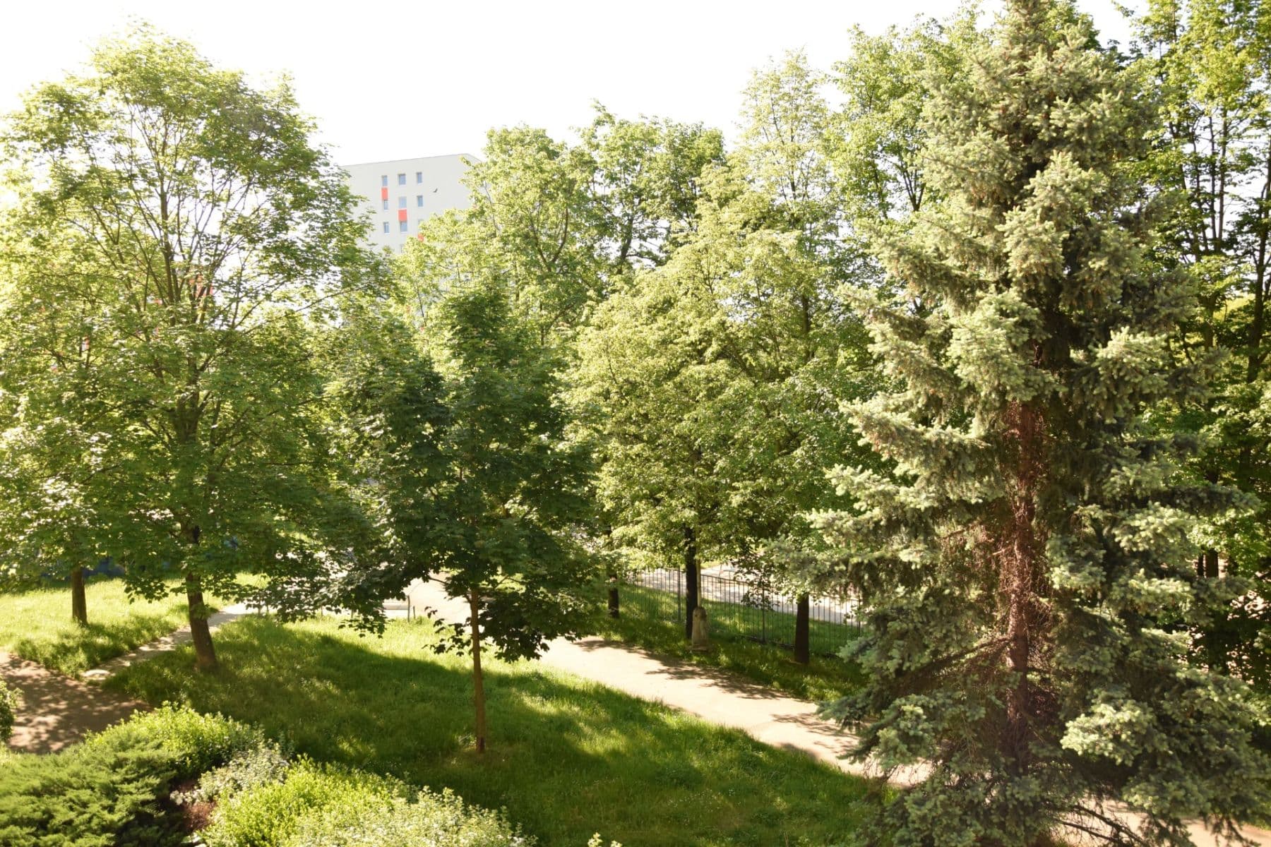 Prenájom bytu 3-izbový 80 m², Daškova, Praha, Praha Prenájom bytu 3-izbový 80 m², Daškova, Praha, Praha