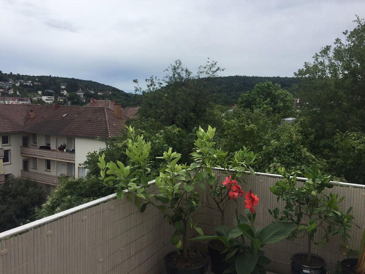 Prenájom domu 128 m², pozemek 550 m², Friedenstrasse 11, Pforzheim, Bádensko-Wurttembersko Prenájom domu 128 m², pozemek 550 m², Friedenstrasse 11, Pforzheim, Bádensko-Wurttembersko